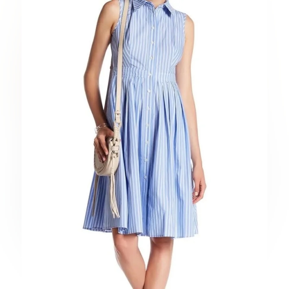 Eliza J Button Down Striped Fit & Flare Shirt Dress